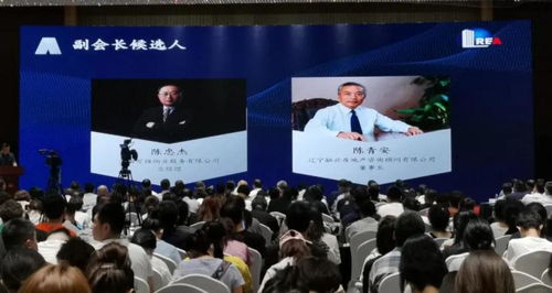 辽宁融兴咨询 连获殊荣，为辽宁省房地产行业发展贡献卓越力量